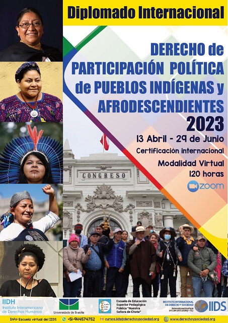 Diplomado Internacional  “Derecho de participación política de pueblos indígenas y afrodescendientes” 